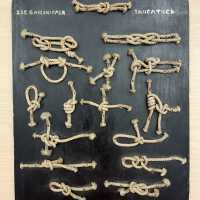 Gallinipper knots board