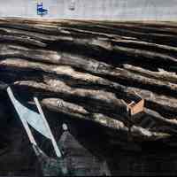 Flotsam by Ellen Bonar Wilt