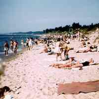          Oval_beach ca 1955.jpg 646KB
   