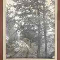 Saugatuck trail