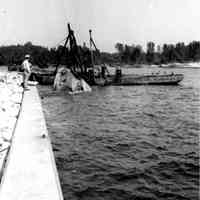          Raising Gotham - G Hoffman.jpg 352KB; Raising the Gotham 1945
   