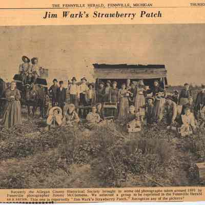 JimWark'sStrawberryPatch.jpg 13.8MB: Digital file on Jack Sheridan Drive 2021.72.02