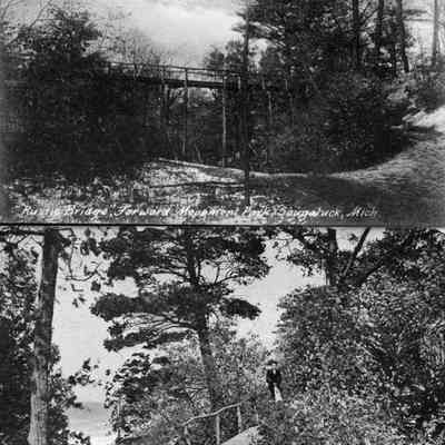 10-14 Rustic bridge and boardwalk.jpg 1.7MB: Digital file on Jack Sheridan Drive 2021.72.02