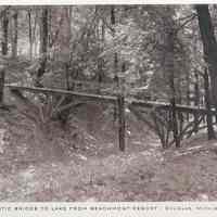          Alvord bridge postcard.jpg 258KB; Rustic Bridge to Lake from Beachmont Resort 63409
   