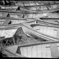          Livery Rowboats picture number 2
   