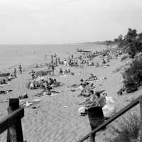          31666a Oval_Beach_ca_1957
   