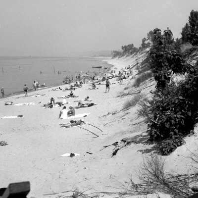 31666c Oval_beach_ca_1956