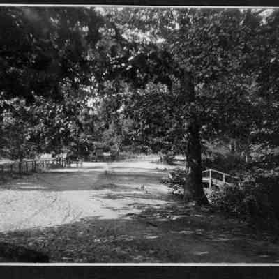 Uneeda_Rest_scene.jpg 579KB: Erik Peterson - Digital file on Jack Sheridan Drive 2021.72.02