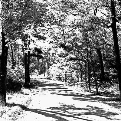 763 May be Dugout Road or the road to Ox-Bow