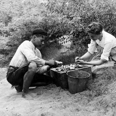 CleaningFishPierCove.jpg 486KB