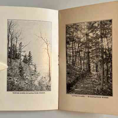 14-15: winter scene, "lover's lane" in Saugatuck Woods
