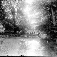 Allegan Glass Plates