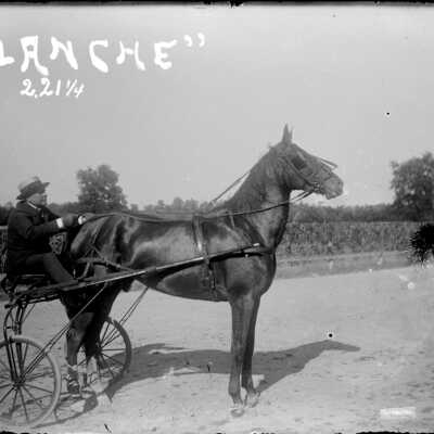 Racehorse.jpg 629KB: Blanche 2.21 1/4 horse with man in racing buggy