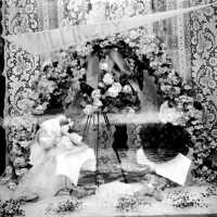          Window_display.jpg 884KB; Millinery display in a window or case, hats, artifical flowers, ribbons and bows
   