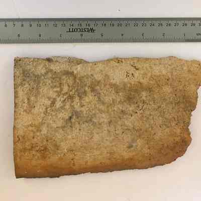 Stone Shard