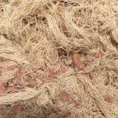 Evidence of rodents nesting in upper layers of net