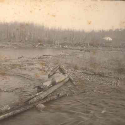 Logs in the river