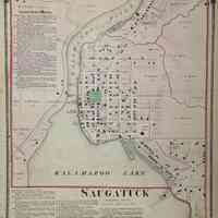          Titus Atlas of Allegan Co., 1873 picture number 3
   