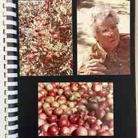          Scrapbooks, Hunn's Pier Cove picture number 15
   