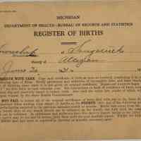          SaugBirths1931-48.JPG 676KB
   