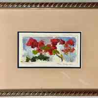 Morning Geraniums