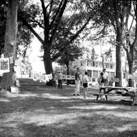 Clothesline Art shows at Cook Park 1957