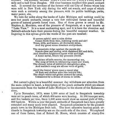 303: Prior to Mr. Butler's settlement in Saugatuck, there was an old peach orchard in the vicinity of Douglas which must have been planted by the French or Indians long before the white settlement of Saugatuck.
This so-called " Peach Orchard" was situated between 'Town's Point and St. Pierre's Point, about a mile and a half from Douglas. Old river boatmen recollect this peach orchard well. It covered the territory of the former wild cat City of Breeze whose lots were sold in New York city during the wild cat mania, and raps of which were such a curiosity among the pioneers, with its public buildings, parks, water power, etc.
We rode for miles along the banks of Lake Michigan and nothing could be seen but peach orchards, except a very few cultivated farms and beautiful groves of natural growth forest trees. One of these groves is owned by Mr. Stephen A. Morrison, one of the pioneers of Saugatuck, at a spot known as "Lake View." It is a most enchanting spot, and it is here the churches and Sabbath-schools have their picnics during the beautiful summer weather.
[a classy poem]
Up to November, 1879, some 1,200 acres of land in Saugatuck township were set to peach trees, of which 400 acres were bearing.
At 100 trees per acre, and five baskets per tree, these 1,200 acres would show an annual yield of 600, - 000 baskets.
Within a year the peach orchards of Saugatuck have been greatly
extended and many more trees planted. Saugatuck promises to be the greatest peach town in the Michigan fruit belt. The most extensive bearing peach orchards in Saugatuck township are on the south side of the river. We explored one of these farms, that of Robert M. Moore, which consists of ninety-five acres. On ten acres Mr. Moore has 4,000 bearing trees, which look in a fine, thrifty condition.
At the time of our visit he was thinning the fruit from the trees one half,--this process improving the fruit in quality and size. We never saw such a prolific yield of fruit before in any portion of the country we have ever been from Michigan to Texas. Mr. M. has a new orchard of thirty acres, but these trees will not bear fruit vet for two vears to come. The land is in a fine state of cultivation and is plowed two or three times a year. Mr. Moore's