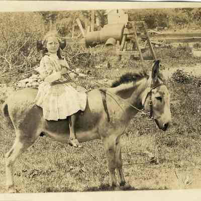 BB-onDonkey.jpg 351KB
