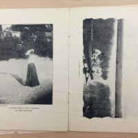          Beauties of Saugatuck and Douglas, Michigan 1898 picture number 6
   