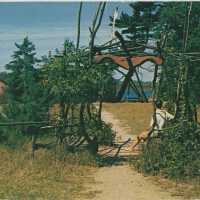 Ox-Bow Arbor Postcard