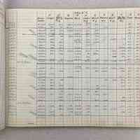 Wilkins/Koning Hardware records