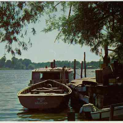 Sewers fishtugs ca 1950.jpg 491KB: postcard image