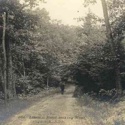 CWPC-0076LincolnRoad c1907.JPG 397KB: Perryman Street, Lincoln Road looking West