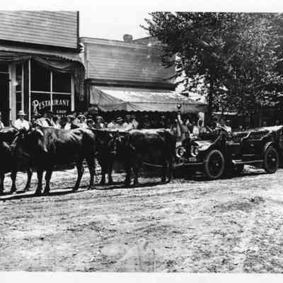 95 89 6 Oxen on Butler St..jpg 606KB