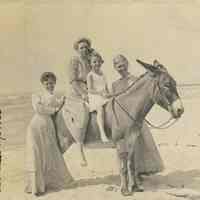 Dynamite the Donkey - digital images