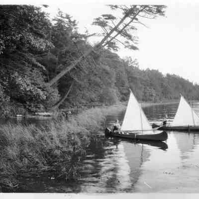 95 84 9 Sailing canoes.jpg 1MB: Box 31, envelope 95-84-9. Two women in swimsuits paddle canoes fitted with triangular sails. The grassy shallows follow a wooded bank with a tall hemlock tree leaning over the water.