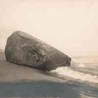          Lost Rock near Forward Movement Park, Saugatuck 289KB; Source: 