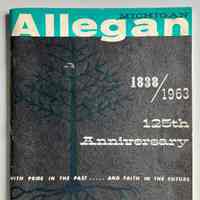          Allegan Michigan 1838/1963 picture number 1
   