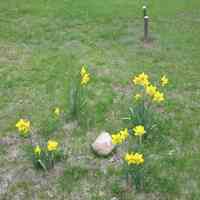          unmarked Waugon family grave prior to placement of marker in 2011
   