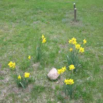 unmarked Waugon family grave prior to placement of marker in 2011