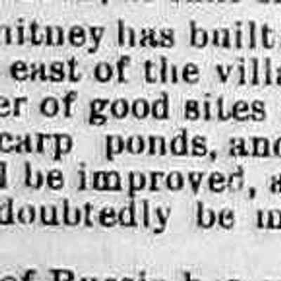cr1886120301CalvinWhitneyCarpPond.jpg 14KB: Calvin Whitney tries his hand at rearing carp