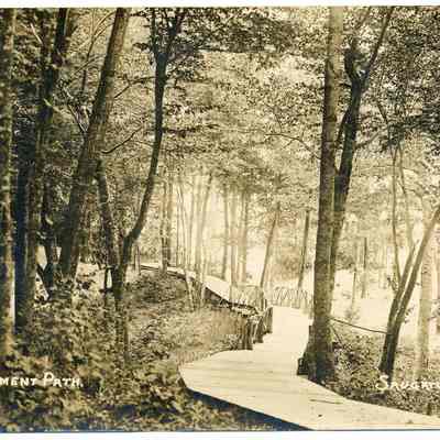 Forward_Movement_path.jpg 1.3MB: Digital file on Jack Sheridan Drive 2021.72.02