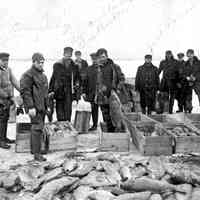          hmbCarpFishing.jpg 521KB
   