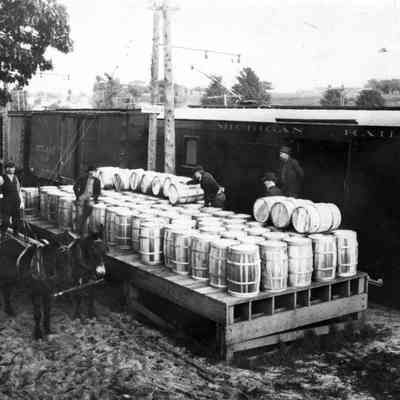 Loading fruit for shipment