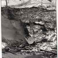          Shore Erosion 1986 Oval Beach and Lakeshore Drive - digital images picture number 27
   