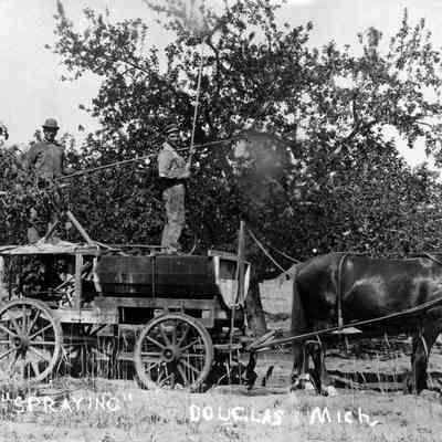 Spraying Douglas Mich.: Book_2003_4.04.jpg 321KB from SDHS 2003 "Snapshots" book