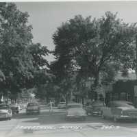 Street View of Saugatuck Postcard