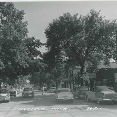 Street View of Saugatuck Postcard