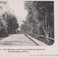          No. 36. The Boulevard Connecting Saugatuck and Douglas, Mich.; Private mailing card by Taylor Souvenir Card Co., St. Joseph, Mich.
   