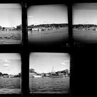          Pier Marine/Saugatuck Marine picture number 4
   